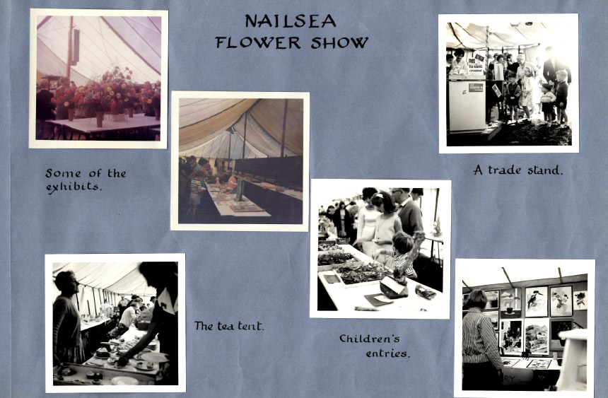 Nailsea Flower Show